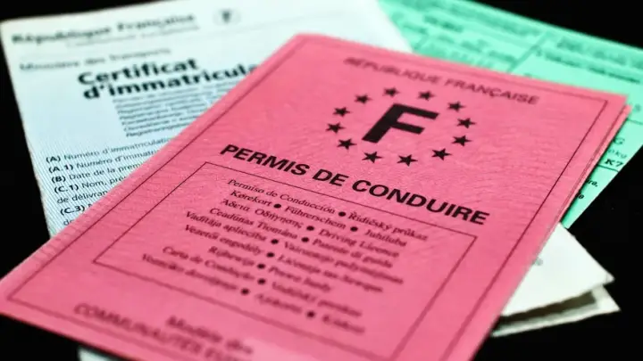 Plaques d'immatriculation — carte grise